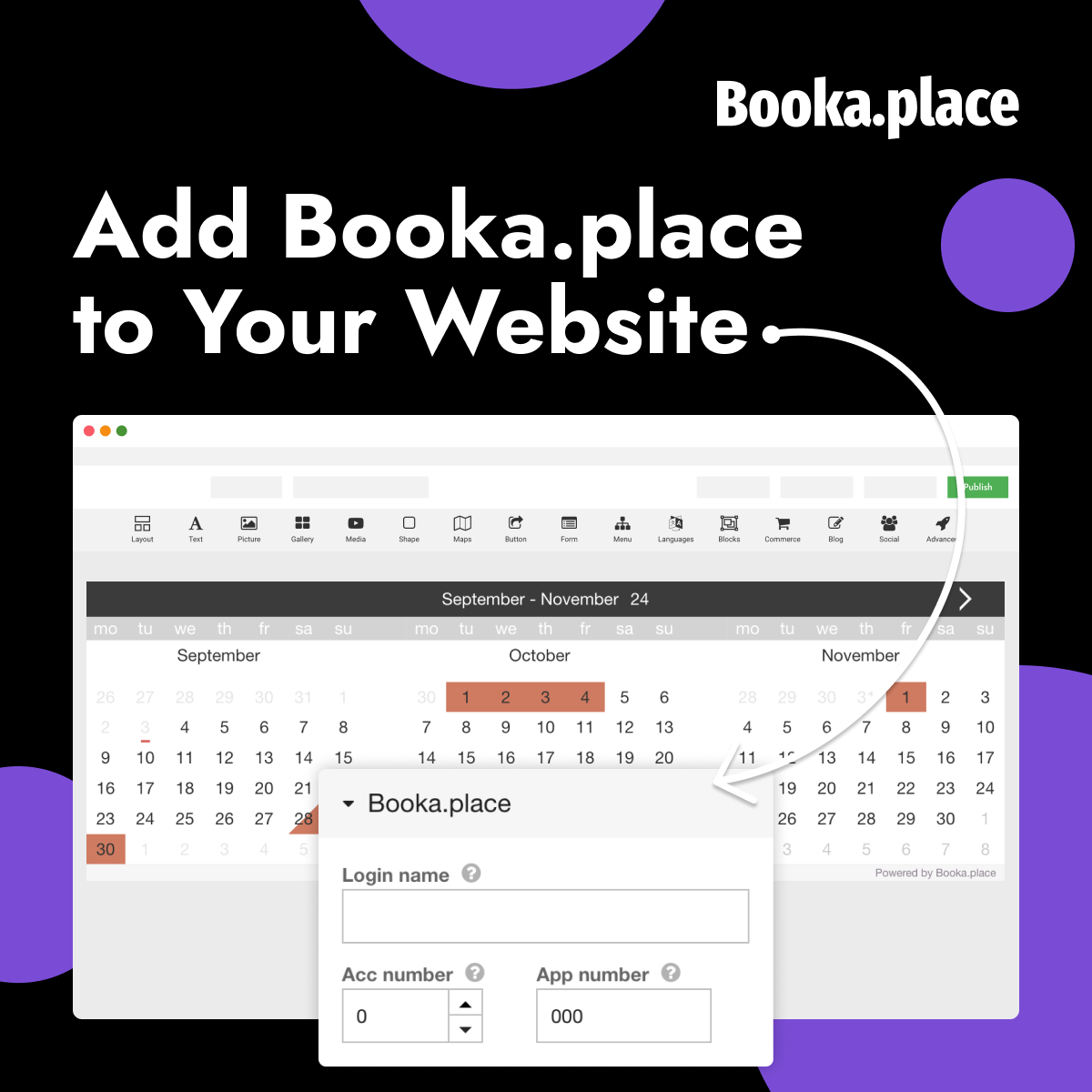 Предварительный просмотр виджета Booka.place на сайте